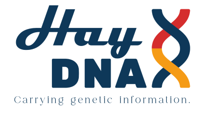 HAY DNA LOGO